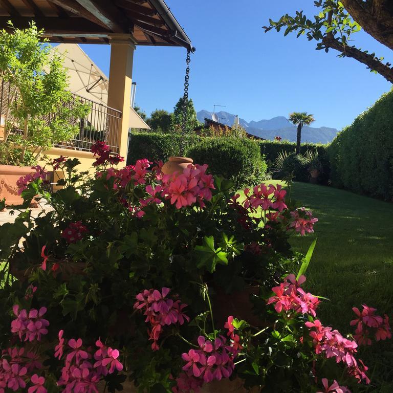 Relais Di Alice- Adults Only Bed and Breakfast Forte dei Marmi Eksteriør billede